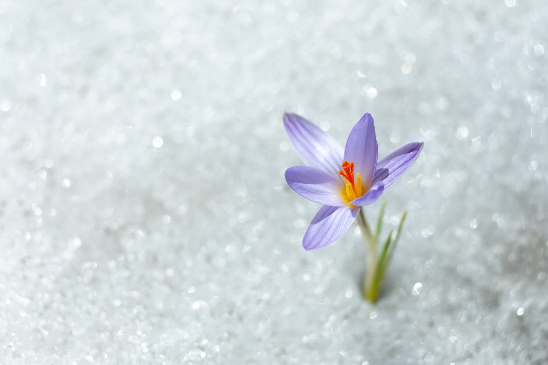 Yoga-Centre-of-Niagara-January-Blog-1