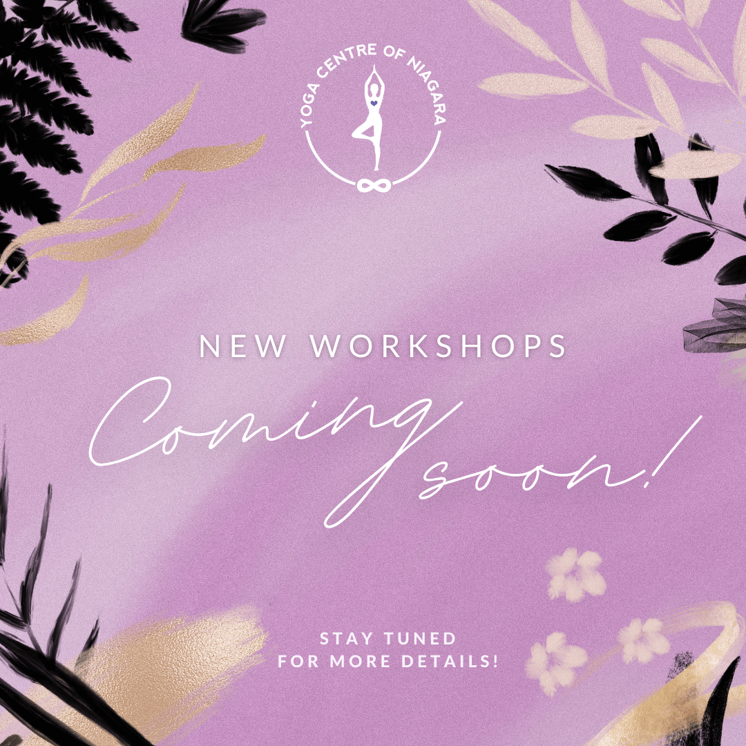 New Workshops Coming Soon